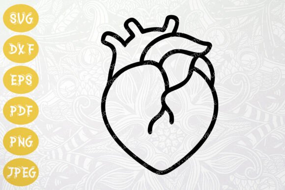 Anatomical Heart Icon SVG for Wellness